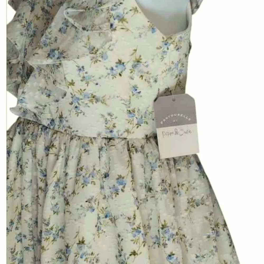 NWT Pippa & Julie Cream Kids Dress - Blue Flowers ~sz 14 - Picture 2 of 7
